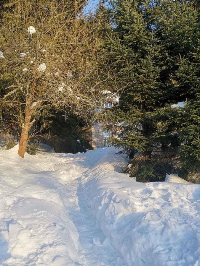 Holiday Home In Harrachov 2311 ภายนอก รูปภาพ