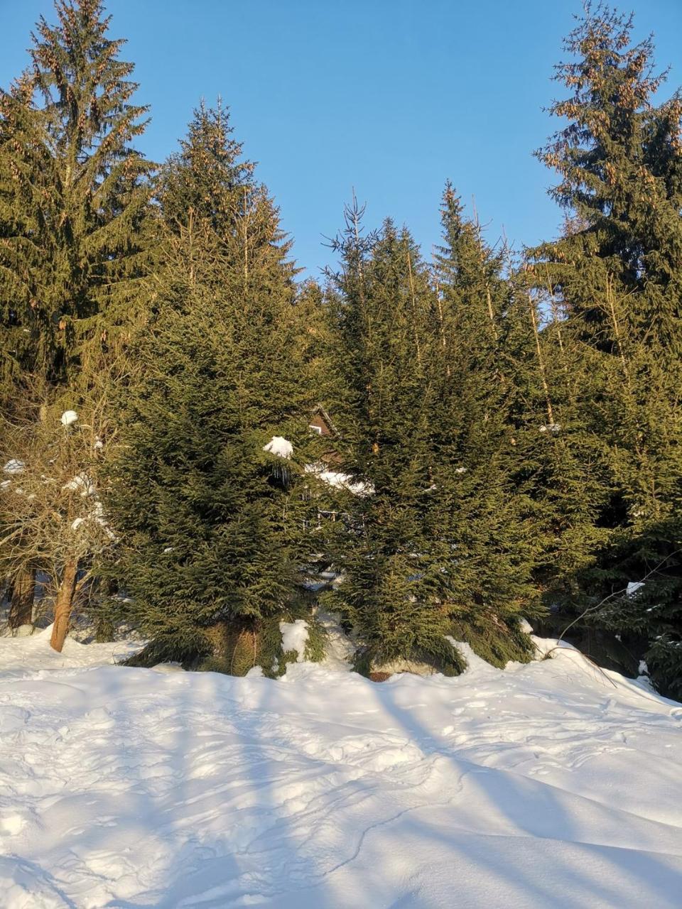 Holiday Home In Harrachov 2311 ภายนอก รูปภาพ